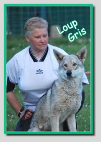 Portrait de Loup Gris